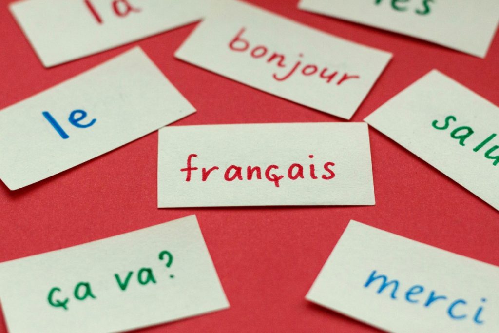 [LeCoupD’œil] ALERTE : NOTRE TRÈS BELLE LANGUE FRANÇAISE EN DANGER !